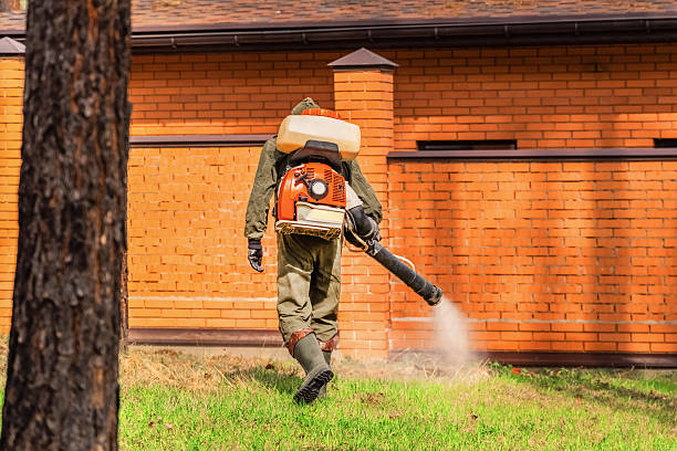Trusted Fumigation Services service in Velda City, MO - Nex Pest Control